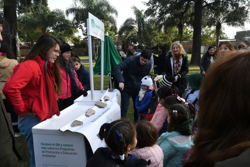 Especies. Son lapachos verdes y rosados los que se plantaron este viernes en la plaza Escalante.

Mauricio Garín.