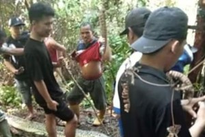 Las serpientes rara vez comen humanos, pero este es el segundo caso conocido en el último mes