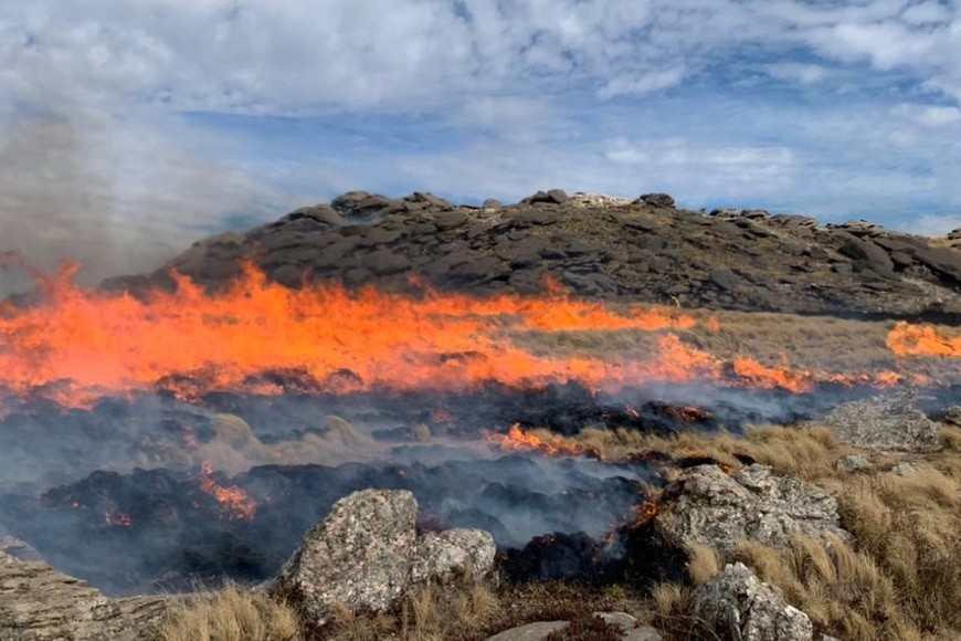 Dramática situación en las sierras. Crédito: Gobierno de Córdoba