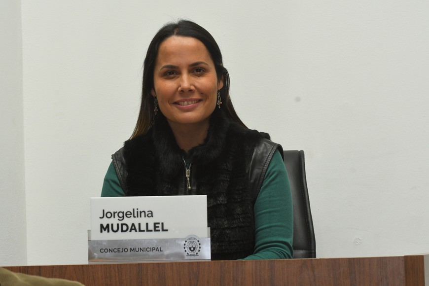 Mudallel aseguró que "hoy hay más de 600 proyectos", subrayando que esta cifra continuará creciendo a medida que se reciban nuevos reclamos. Foto: Mauricio Garín