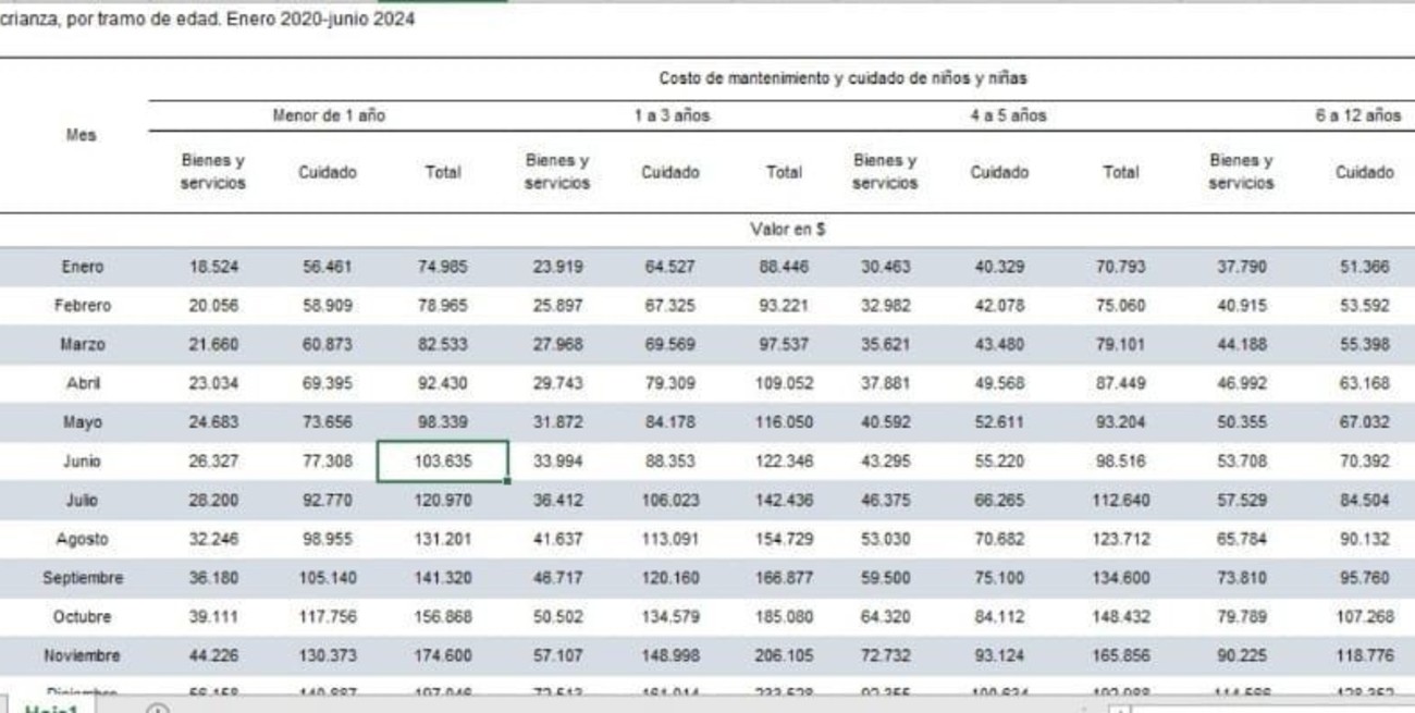Fuente: INDEC Serie Canasta de crianza, por tramo de edad. Enero 2020 junio 2024