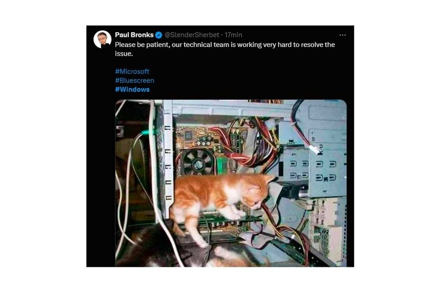 Las reacciones en las redes sociales