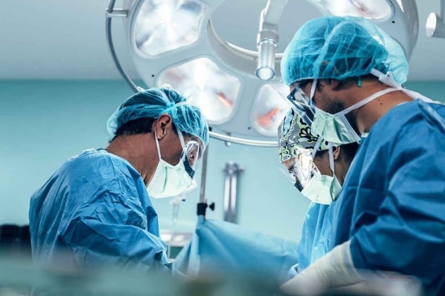 Quien necesita un trasplante de riñón puede recibirlo de una persona viva, que sea compatible. Foto: Imagen ilustrativa