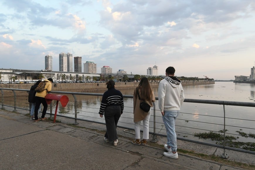 Algunos curiosos que frecuentan el paseo se asoman para ver los peces muertos.