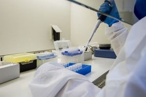 Se registraron las primeras dos muerte en el mundo por el virus Oropouche.