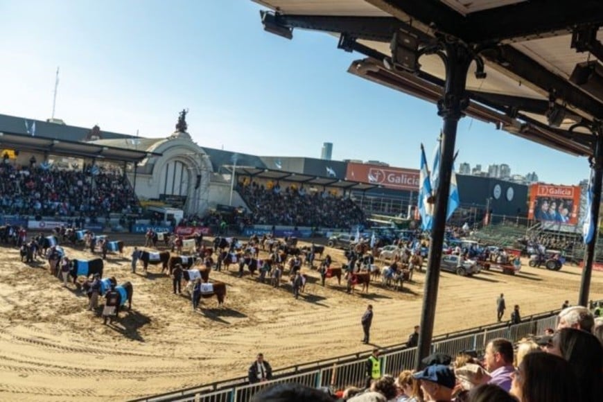Exposición Rural 2024: fuerte presencia del interior productivo en la muestra de Palermo