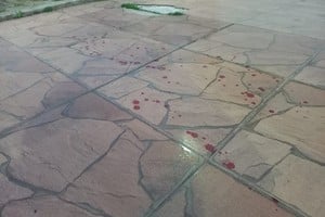 Personal policial observó rastros de sangre en el lugar del incidente.