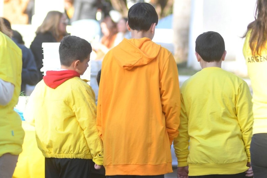 La alta curiosidad es una característica distintiva en las altas capacidades. Crédito: Manuel Fabatía.