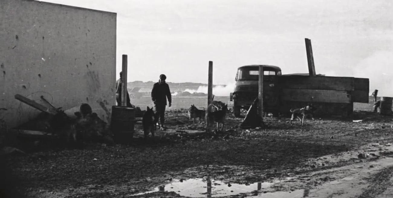Foto: Gentileza