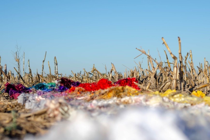 Muestra “Rastrojos” de la artista visual Luciana Sodiro.