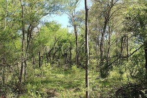 Montes del norte de la provincia de Santa Fe.