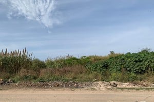 La empresa local había arrojado escombros en la zona de Gral. Paz al 9000. Gentileza