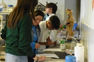 La programación incluye cerca de 30 actividades que se repetirán a lo largo de 4 semanas.