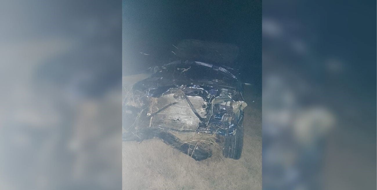 El impacto fue ante un vacuno de mediano tamaño.