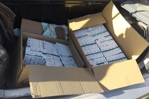 La operación llevó a la detención de varios miembros de la organización y al secuestro de gran cantidad de drogas.