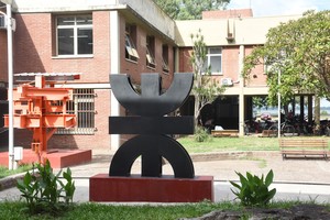 Imagen ilustrativa. Crédito: Luis Cetraro