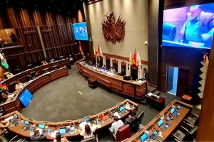 Imagen ilustrativa. Crédito: Cámara de Senadores del Estado Plurinacional de Bolivia