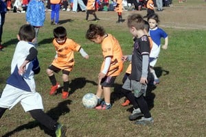 Fotos: Guillermo Di Salvatore