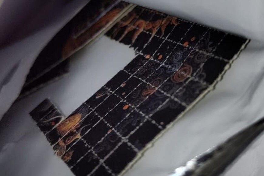 Detuvieron a “La dama de rosa”, una mujer que hacía delivery de drogas de diseño