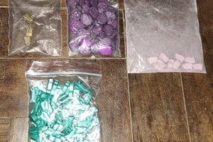 La investigación comenzó en marzo y fue llevada adelante por agentes de la División Antidrogas Rosario. Foto: Prensa PFA