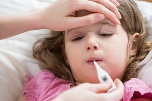 Estamos viviendo un "zoológico de virus"