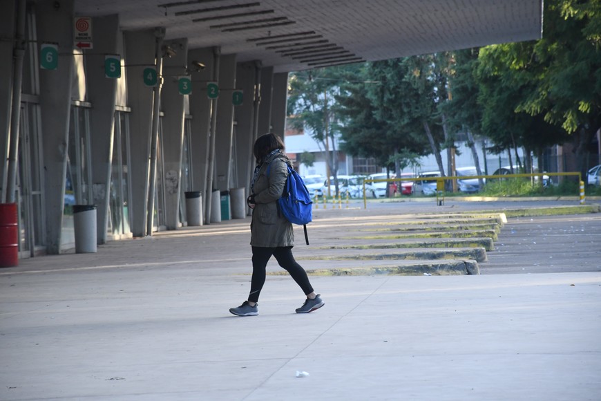 Imagen ilustrativa. Crédito: Flavio Raina