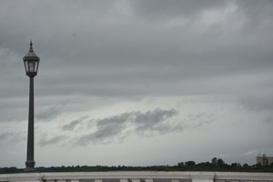 Imagen ilustrativa. Crédito: Guillermo Di Salvatore