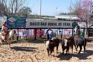 El lunes 9, a las 14, se cierra la muestra con el remate de reproductores.
Foto: El Litoral