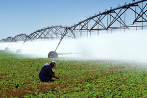 Está ya fuera de discusión el efecto beneficioso que tiene el riego artificial suministrado de un modo eficiente como suplemento, cuando el nivel de precipitaciones desciende o en épocas de sequía. Foto: Archivo