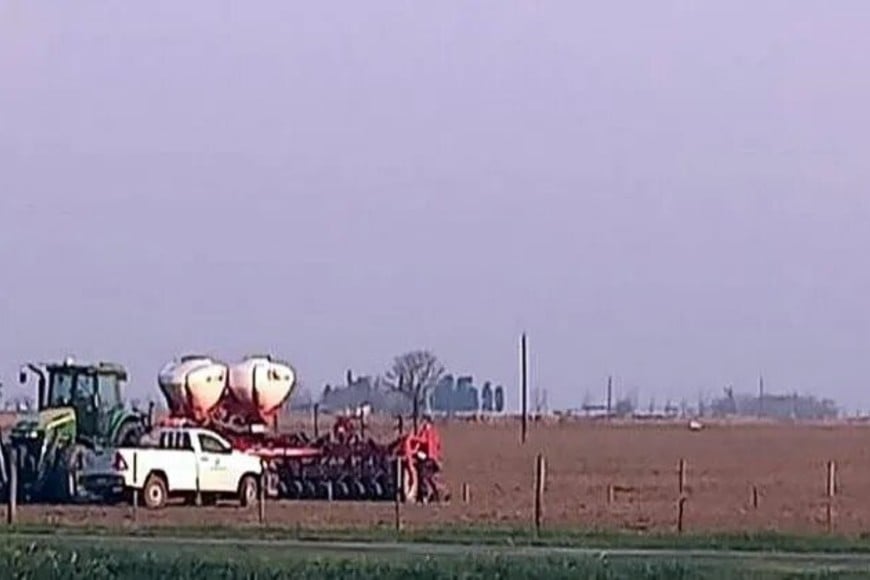 La disminución coloca la superficie a sembrar en unas 76.000 hectáreas.