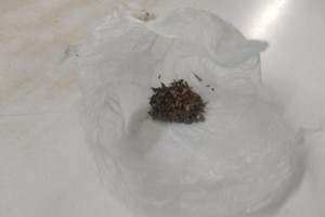 La sustancia hallada fue enviada para su análisis correspondiente.