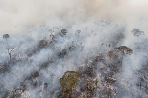A drone view of a forest fire in the Amazon in an area of the Trans-Amazonian Highway BR230 in Labrea, Amazonas state, Brazil September 4, 2024. REUTERS/Bruno Kelly

     TPX IMAGES OF THE DAY