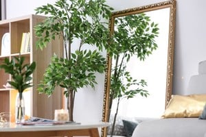 Colocar un espejo cerca de la entrada atrae energía positiva hacia el interior de tu casa.