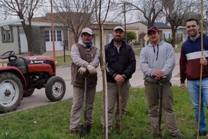 Desde el Ejecutivo invitaron a los vecinos a sumarse al cuidado de estos árboles: regándolos, controlando hormigas y manteniendo los tutores firmes.