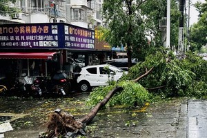Bebinca, el decimotercer tifón de este año, tocó tierra en Shanghai