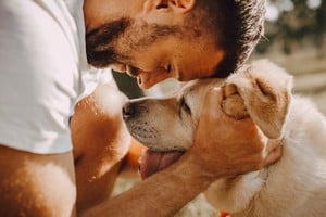 La alegría de adoptar viene con la preparación necesaria para hacer la mejor elección.