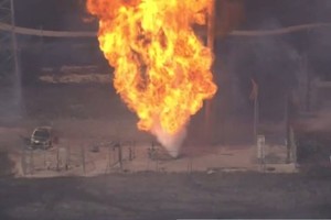 Imágenes de video mostraban que un parque cerca del incendio había resultado dañado