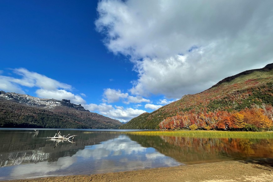 Investigadores trabajan en el lugar para esclarecer el hecho.