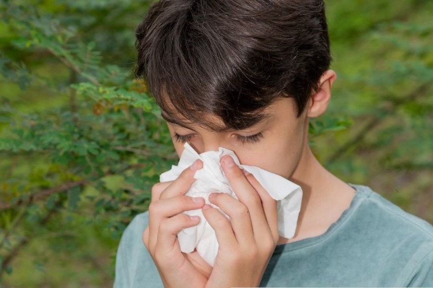 El aumento de las alergias en Argentina y en el mundo es un fenómeno constante en los últimos años.