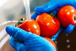 Técnicos especializados en alimentos, bromatología, higiene y seguridad alimentaria enfrentaban el problema de no poder completar su formación profesional y obtener así un título de grado