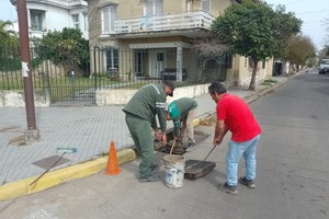 Los operarios municipales debieron retirar hasta un árbol de una boca de tormenta.