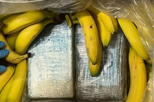 La policía cree que el cargamento procedía de Sudamérica y llegó a Europa a través del puerto de Amberes, Bélgica.