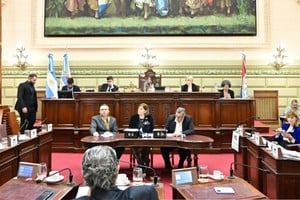 El escrito apunta a la accidentada sesión que pasó a una votación precipitada, como consecuencia de la violenta movilización que se producía en la explanada de la Legislatura.