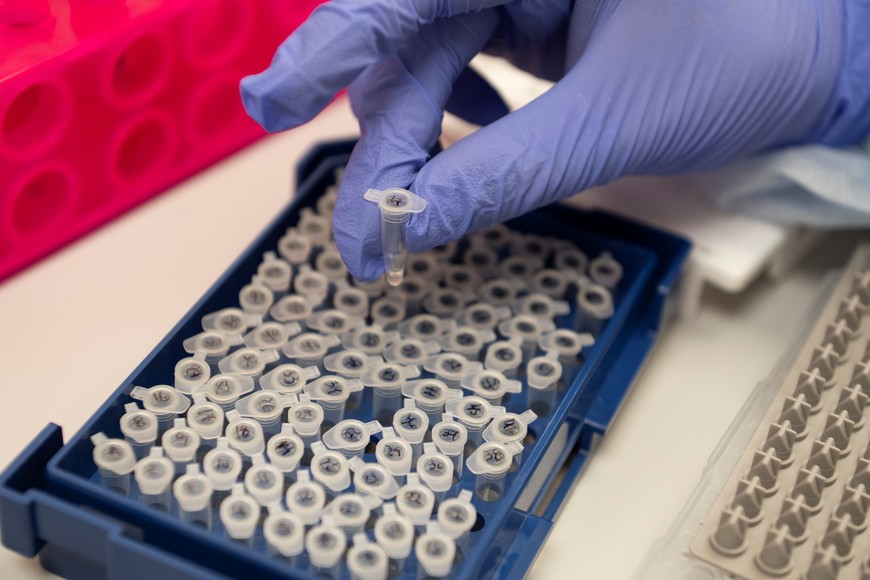 Con la modificación, impulsada por el Ministerio de Seguridad, el Registro comprenderá perfiles genéticos de autores de todo tipo de delitos. E incluye muestras obtenidas "por contacto".. Crédito: Victoria Gesualdi