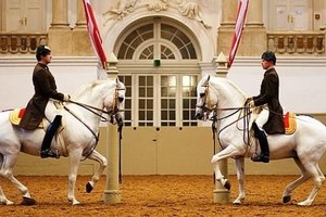 En Viena está la escuela ecuestre más antigua del mundo, tiene raíces españolas y en 2025 cumplirá su 460 años. Son parte de la historia imperial que les ofrecen al turismo y al mundo.