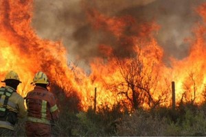El proyecto cuenta con varias medidas financieras concretas.