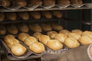 Al no contar con subsidios, las variaciones del precio estacional del gas natural se sienten más en las pequeñas y medianas industrias que en los hogares.