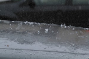 Imagen ilustrativa. Crédito: Guillermo Di Salvatore