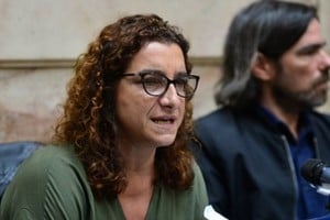 La legisladora Vanina Biasi. 