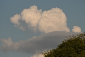 Imagen ilustrativa. Crédito: Mauricio Garín